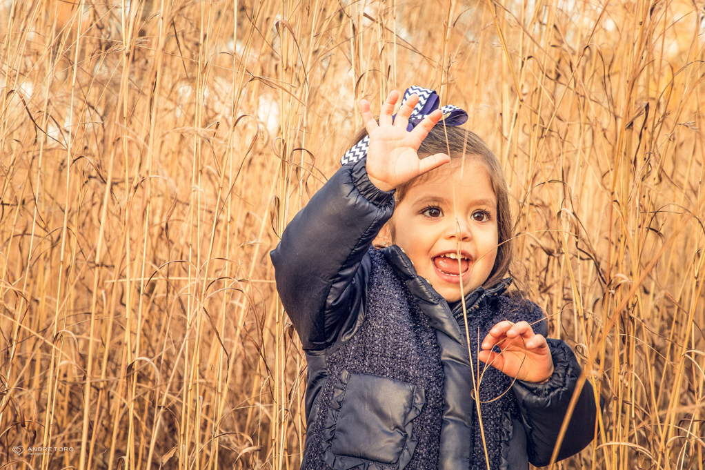 Boston Family Photographer-2