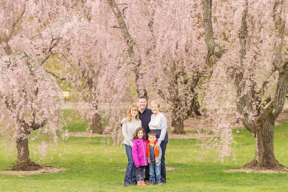 Boston Family Photographer-61